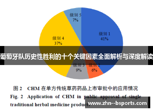 葡萄牙队历史性胜利的十个关键因素全面解析与深度解读