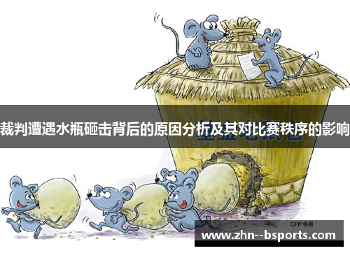 裁判遭遇水瓶砸击背后的原因分析及其对比赛秩序的影响