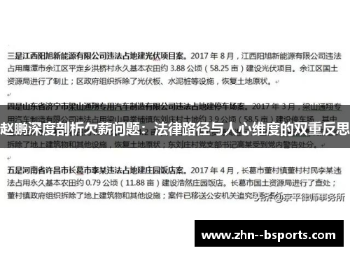 赵鹏深度剖析欠薪问题：法律路径与人心维度的双重反思